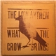 The Low Anthem - What The Crow Brings