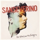 Sanseverino - Les Embouteillages